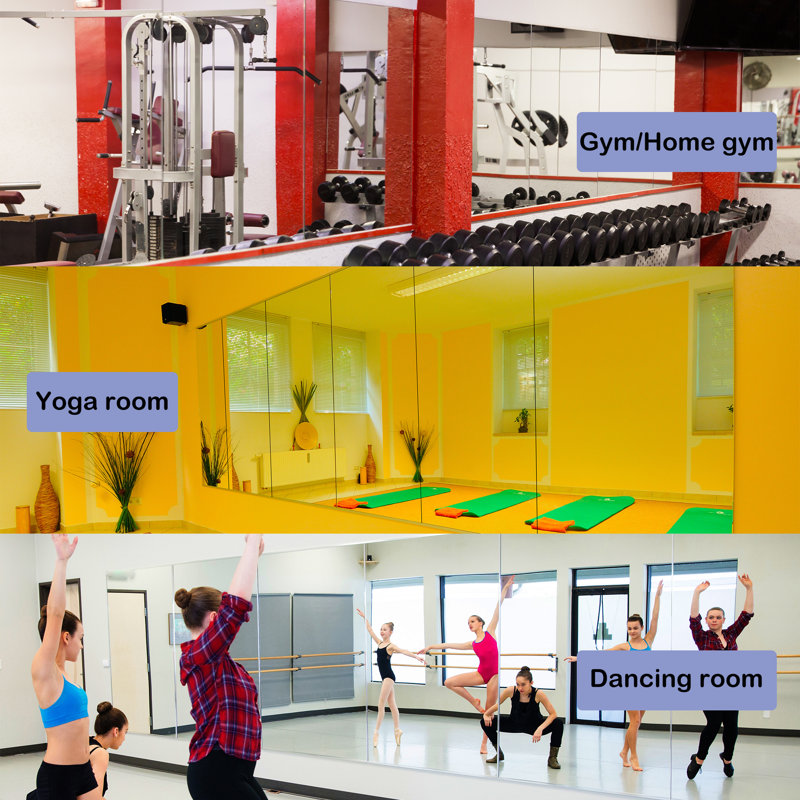 Ebern Designs Dashanti Mirror Home Gym Mirror, 48" x 24" x 2PCS, Wall Mounted Frameless Mirror